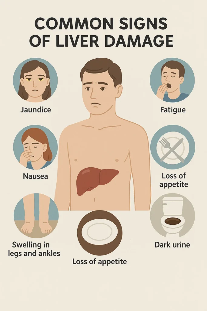 Common signs of liver damage