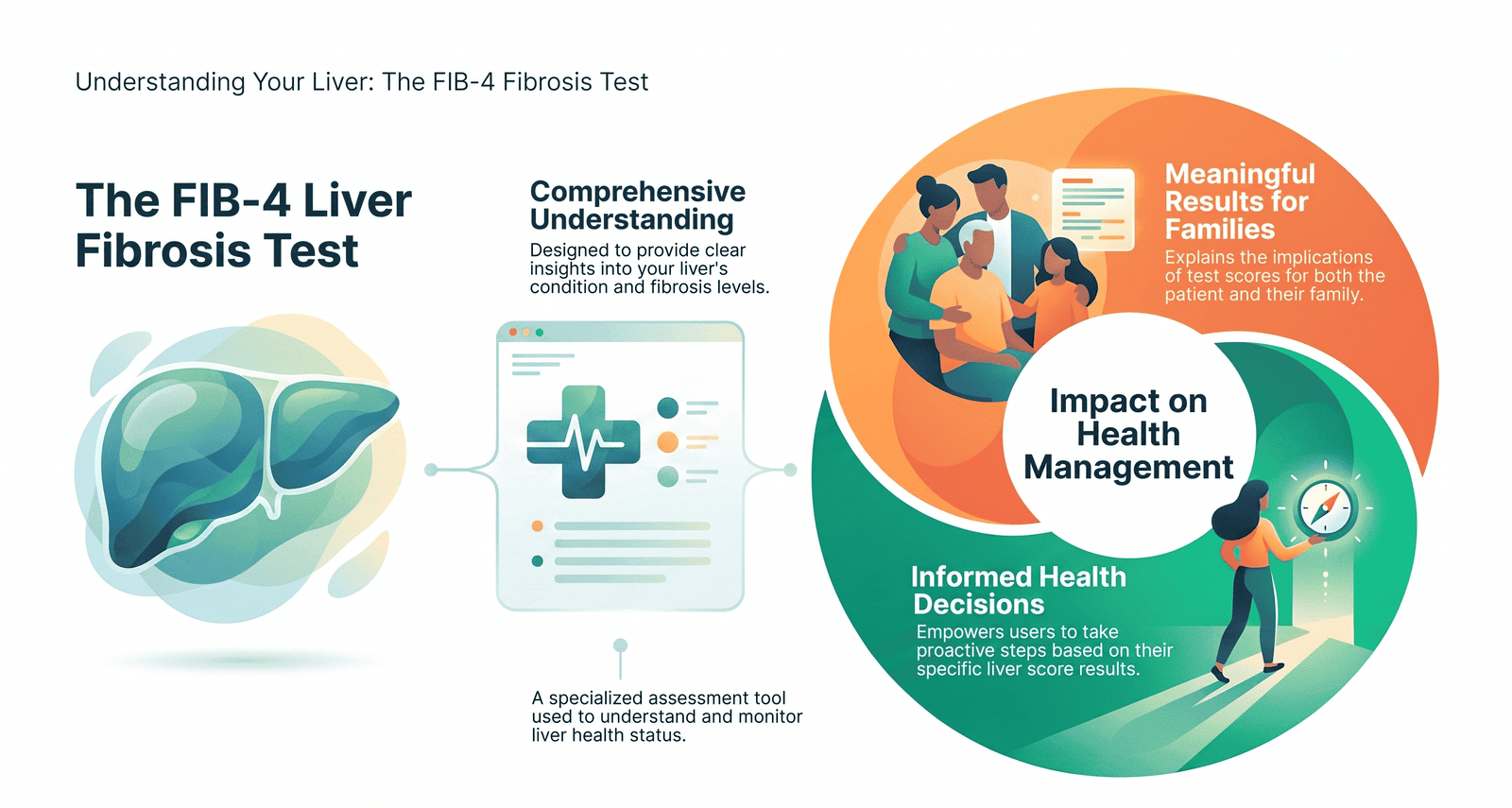 FIB-4 LIVER FIBROSIS TEST EXPLAINED